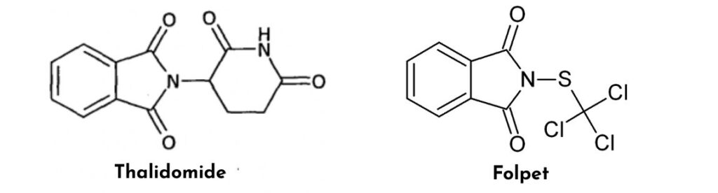 Thalidomide