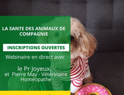 Webinaire: LA SANTE DES ANIMAUX DE COMPAGNIE