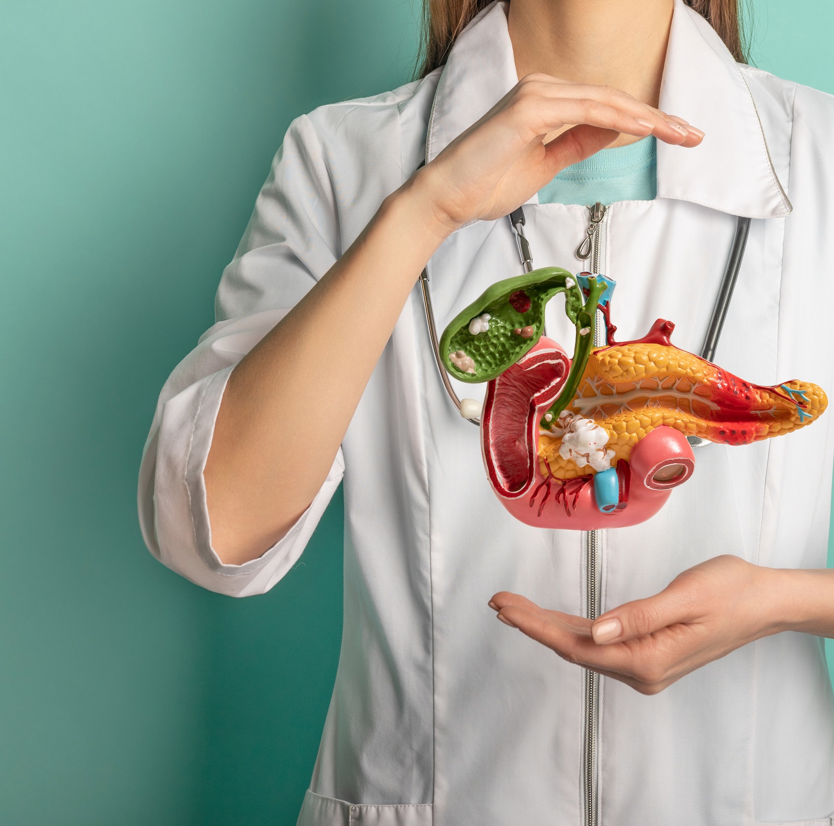 Le Pancréas : Fonctions essentielles et défis pathologiques