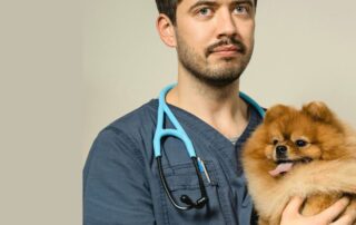 Alimentation Santé des animaux de compagnie- Perspective de prévention