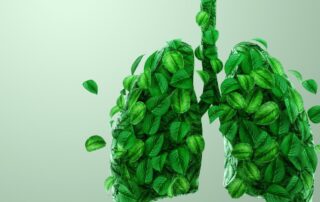 Les cancers du poumon - Prévention, diagnostic et traitements.