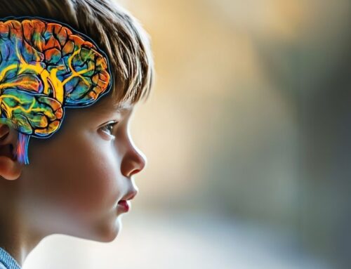 Comment les oméga-3 façonnent le cerveau, l’attention et l’immunité de l’enfant