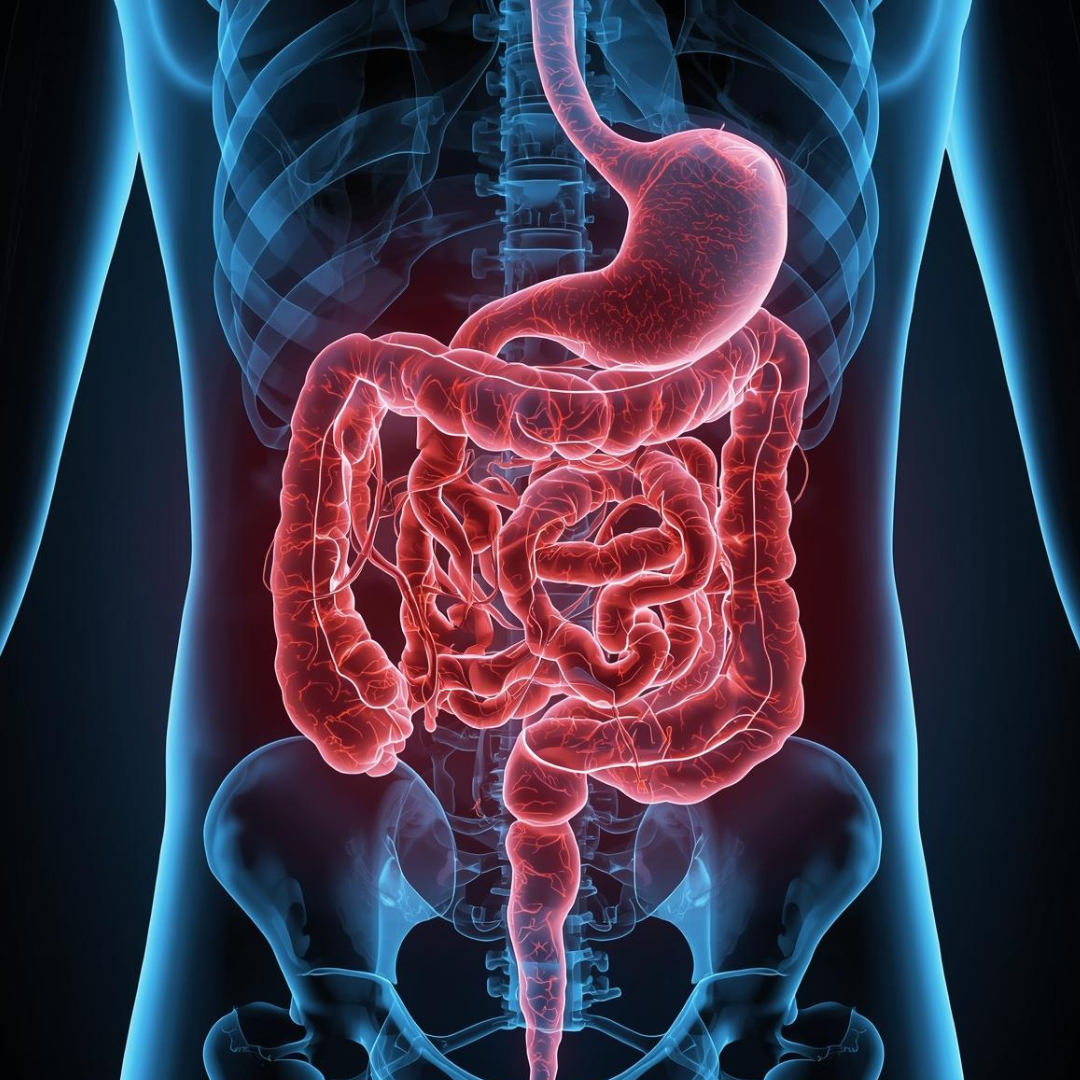 Qu’est-ce qui ne va pas dans mes intestins